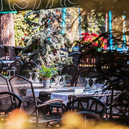 Hotel Cornul Vanatorului Πιτέστι Εξωτερικό φωτογραφία
